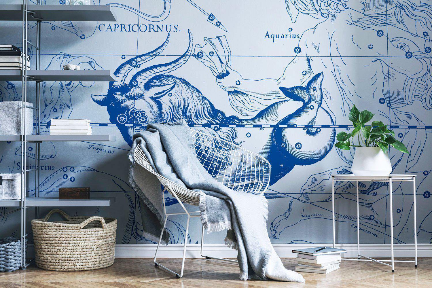 Night Sky Capricorn Astrology Wallpaper Mural-Wall Mural-Eazywallz