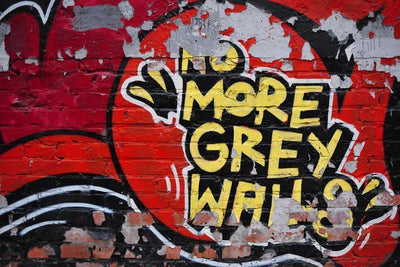 No more grey walls Wall Mural-Wall Mural-Eazywallz