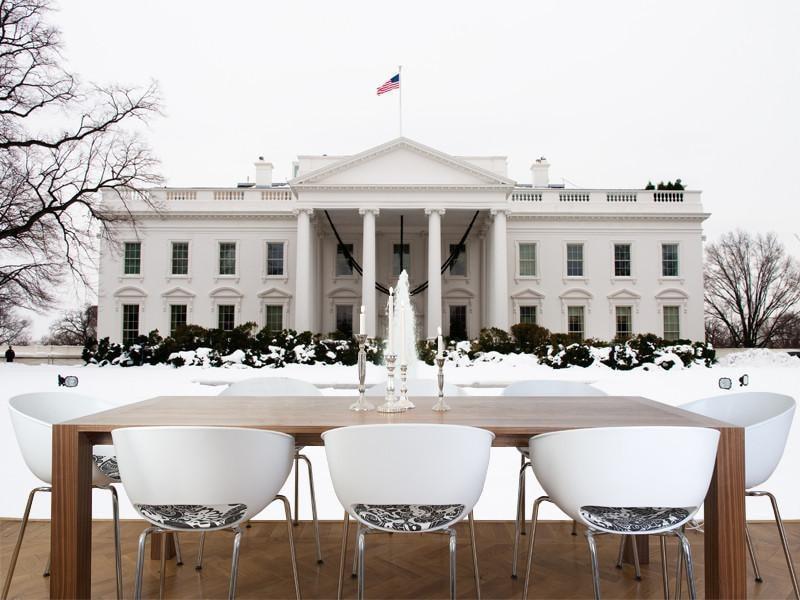 North Portico of the White House, USA Wall Mural-Wall Mural-Eazywallz