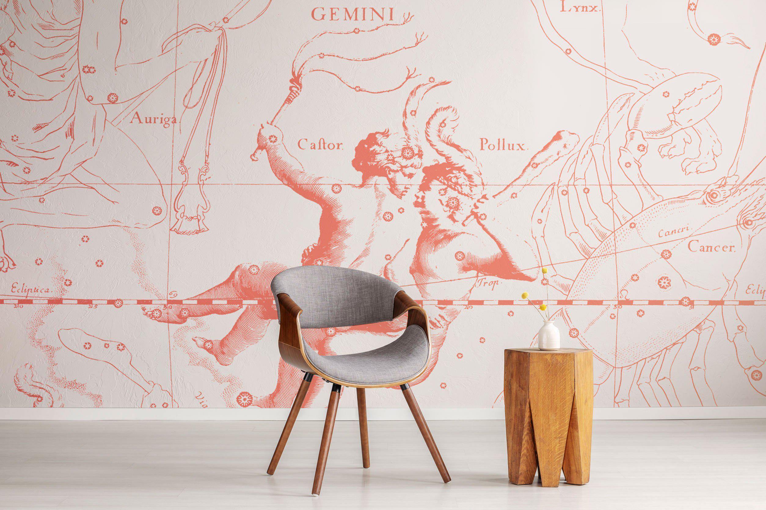 Nude Pink Gemini Astrology Mural-Wall Mural-Eazywallz