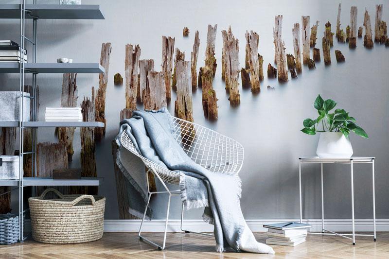 Old Trunks out of Water Wall Mural-Wall Mural-Eazywallz