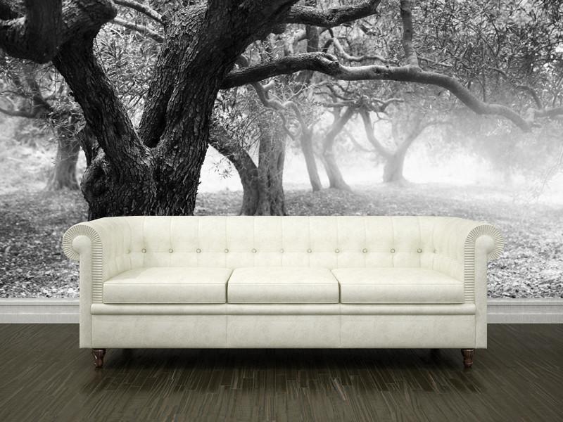 Old olive trees Wall Mural-Wall Mural-Eazywallz