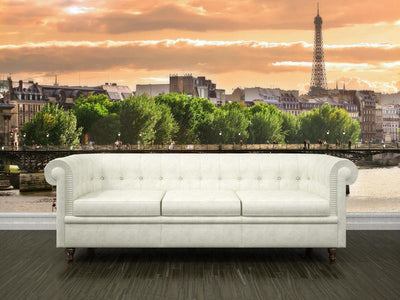 On the Seine river in Paris Wall Mural-Wall Mural-Eazywallz