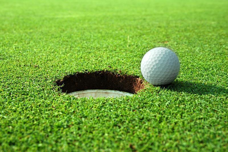 On the green Wall Mural-Wall Mural-Eazywallz