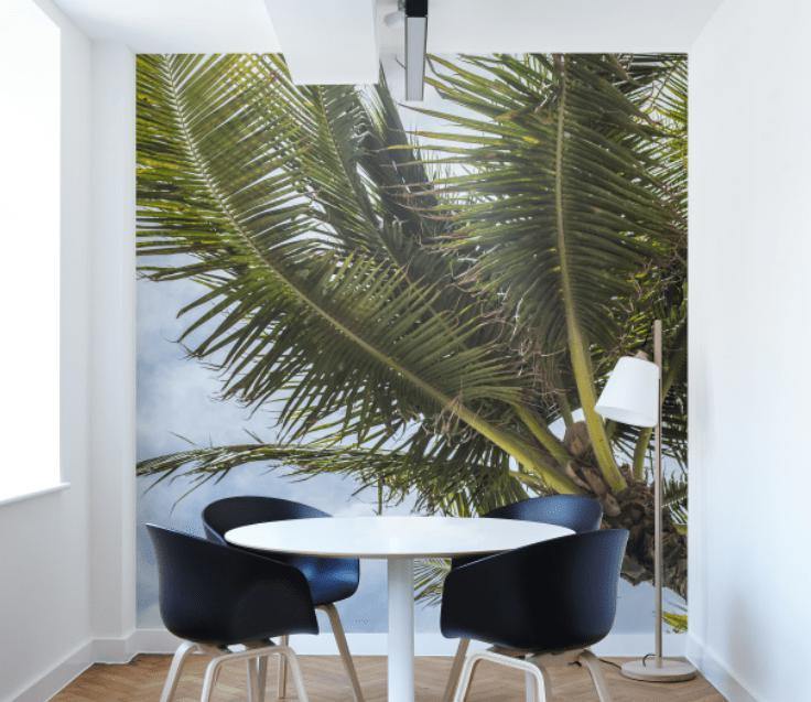 Palm Tree & Sky Wall Mural-Wall Mural-Eazywallz