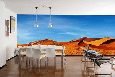 Panorama of the Namib Desert Wall Mural-Wall Mural-Eazywallz