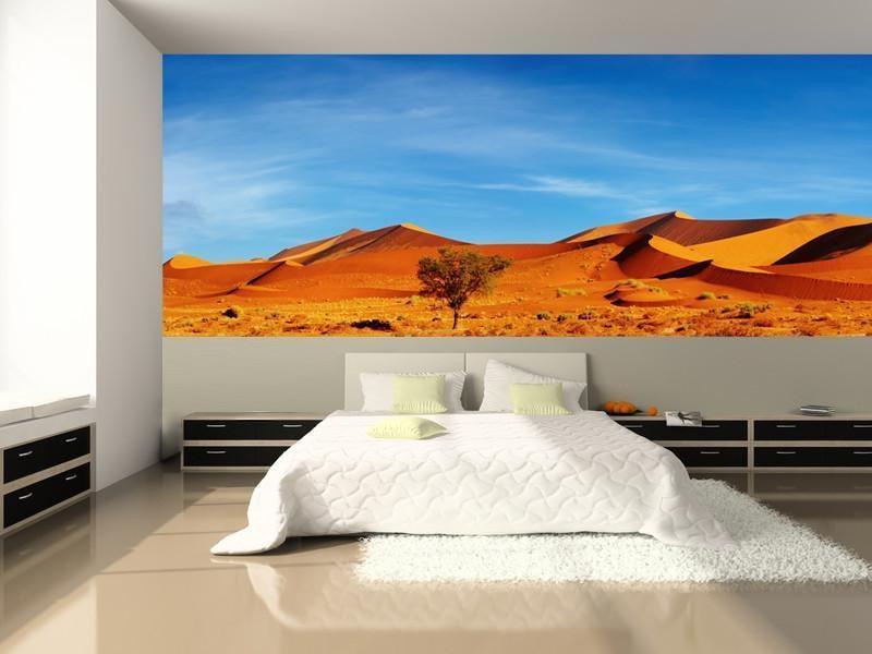 Panorama of the Namib Desert Wall Mural-Wall Mural-Eazywallz