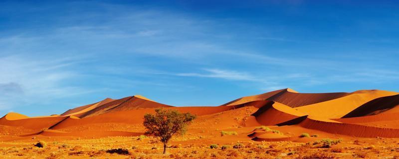 Panorama of the Namib Desert Wall Mural-Wall Mural-Eazywallz