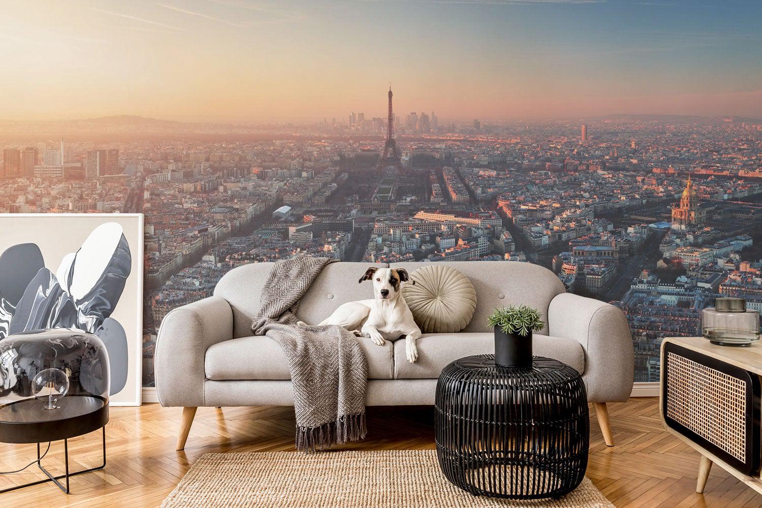 Panoramic View of Paris Wall Mural - Eazywallz