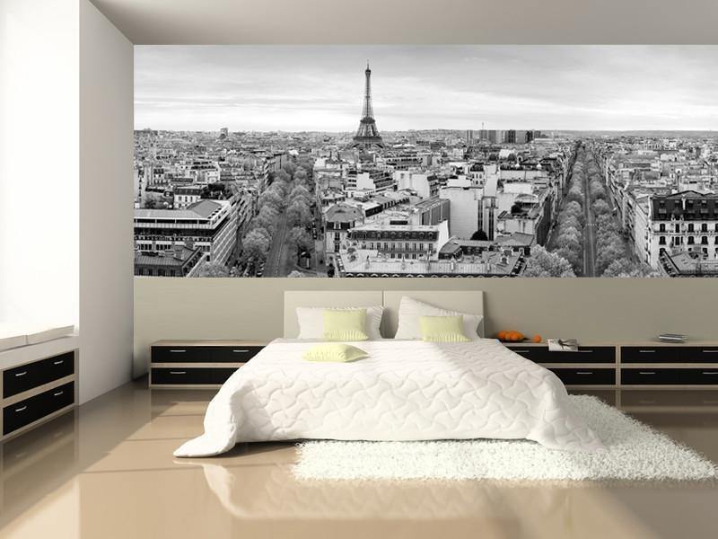 Panoramic View of Paris Wall Mural-Wall Mural-Eazywallz
