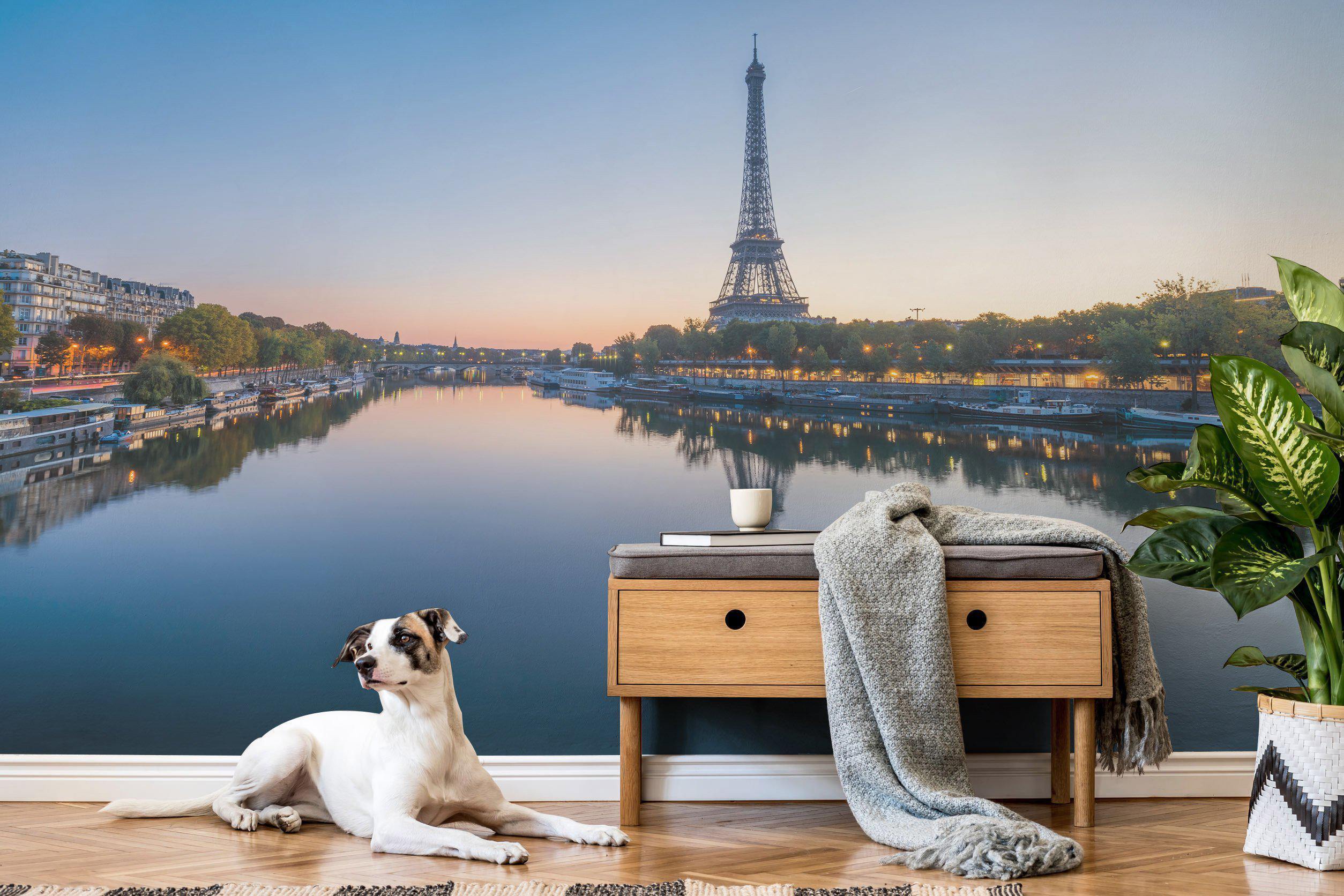 Paris Sunset Wall Mural-Wall Mural-Eazywallz