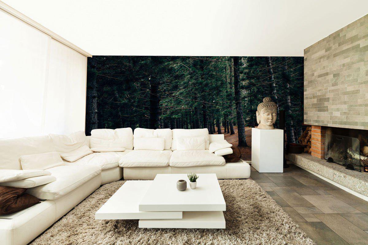 Pathway Through Park Forest Wall Mural-Wall Mural-Eazywallz