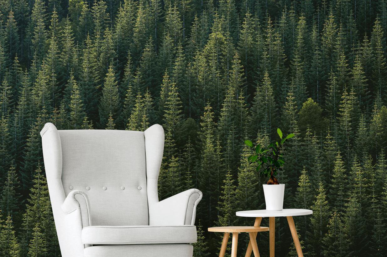 Perfect Tree Forest Line Wall Mural-Wall Mural-Eazywallz