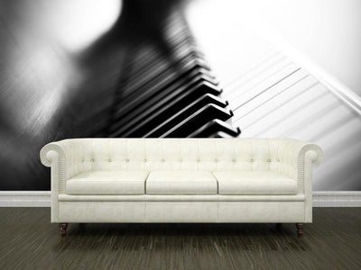 Piano in black and white Wall Mural-Wall Mural-Eazywallz