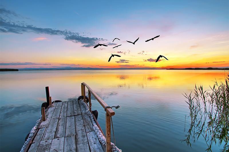 Pier into the Clouds Wall Mural-Wall Mural-Eazywallz