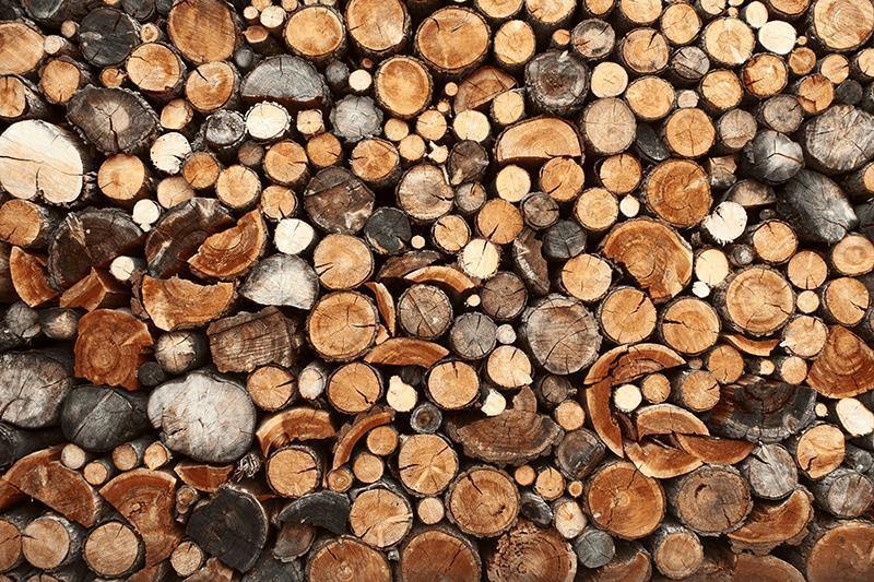 Pile of Chopped Fire Wood Wall Mural-Wall Mural-Eazywallz