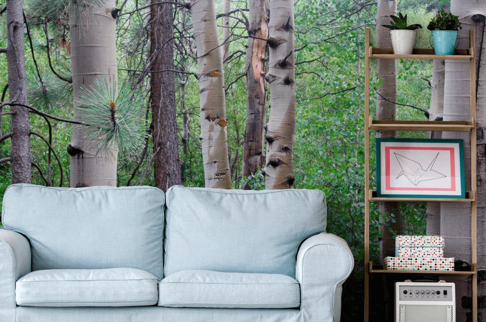 Pine Forest Wall Mural | Eazywallz