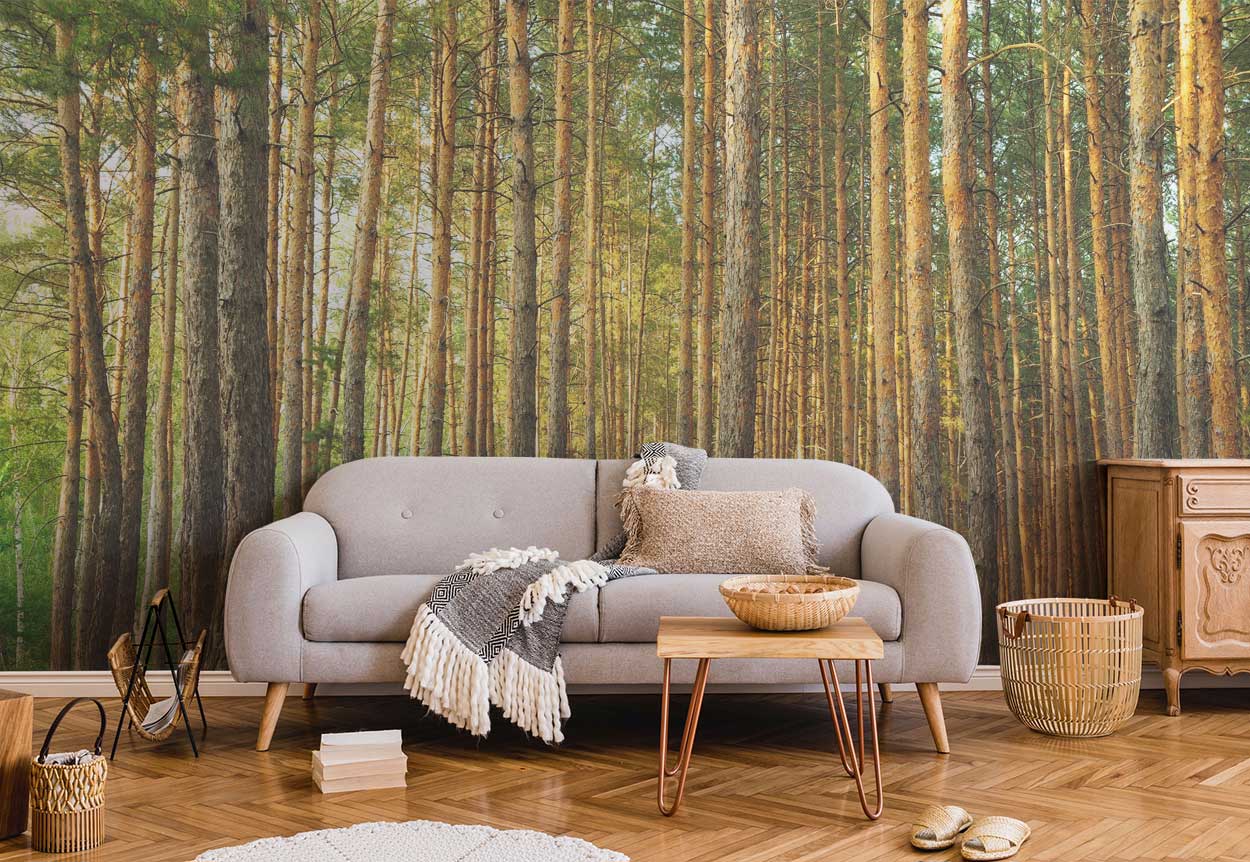 Pine tree forest Wall Mural-Wall Mural-Eazywallz