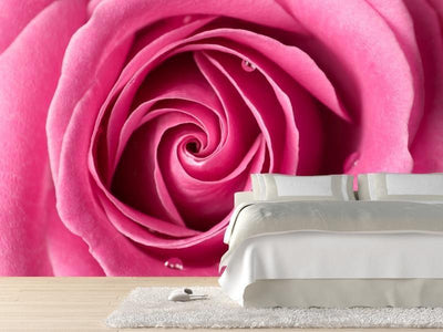 Pink rose and drops of water Wall Mural-Wall Mural-Eazywallz