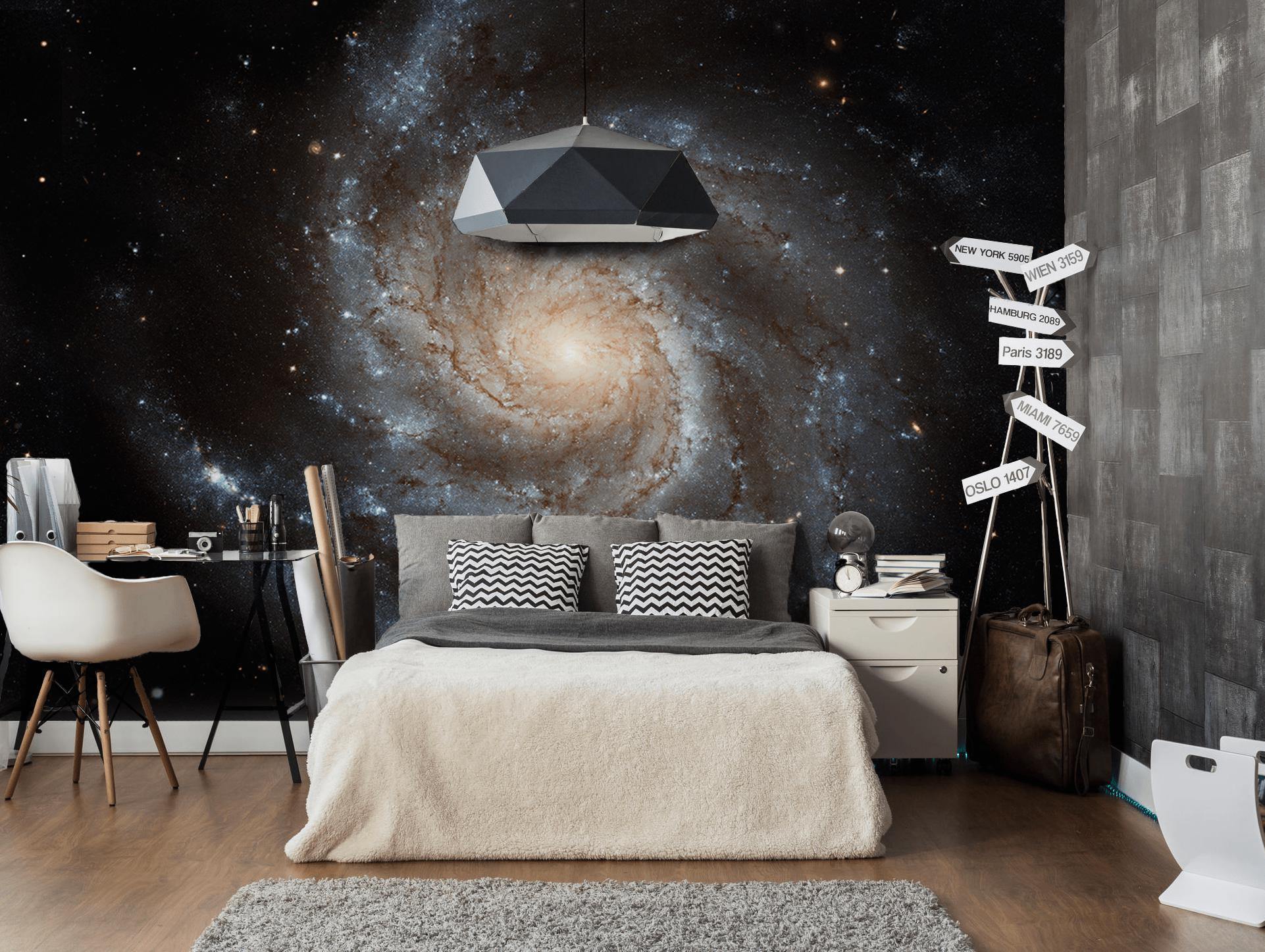 Pinwheel Galaxy Wall Mural | Space Murals | Eazywallz