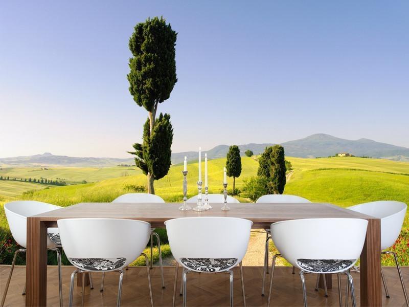 Podere Terrapille Wall Mural-Wall Mural-Eazywallz