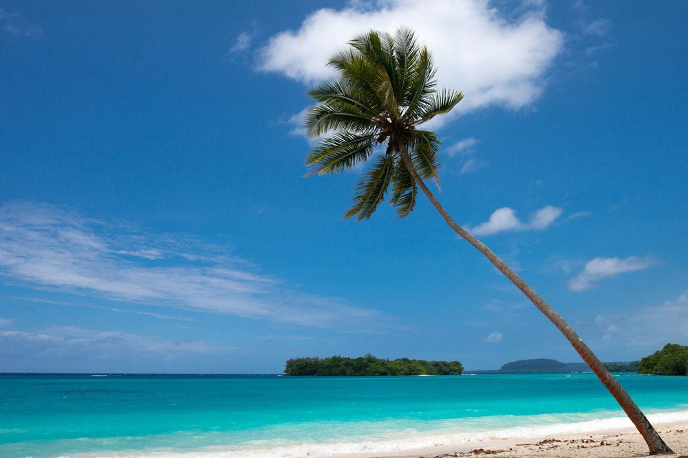 Port Vila Beach Wall Mural - Beach Wallpaper - Eazywallz