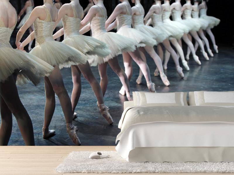 Professional Ballerinas Wall Mural-Wall Mural-Eazywallz
