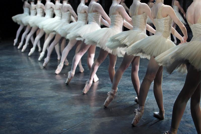 Professional Ballerinas Wall Mural-Wall Mural-Eazywallz