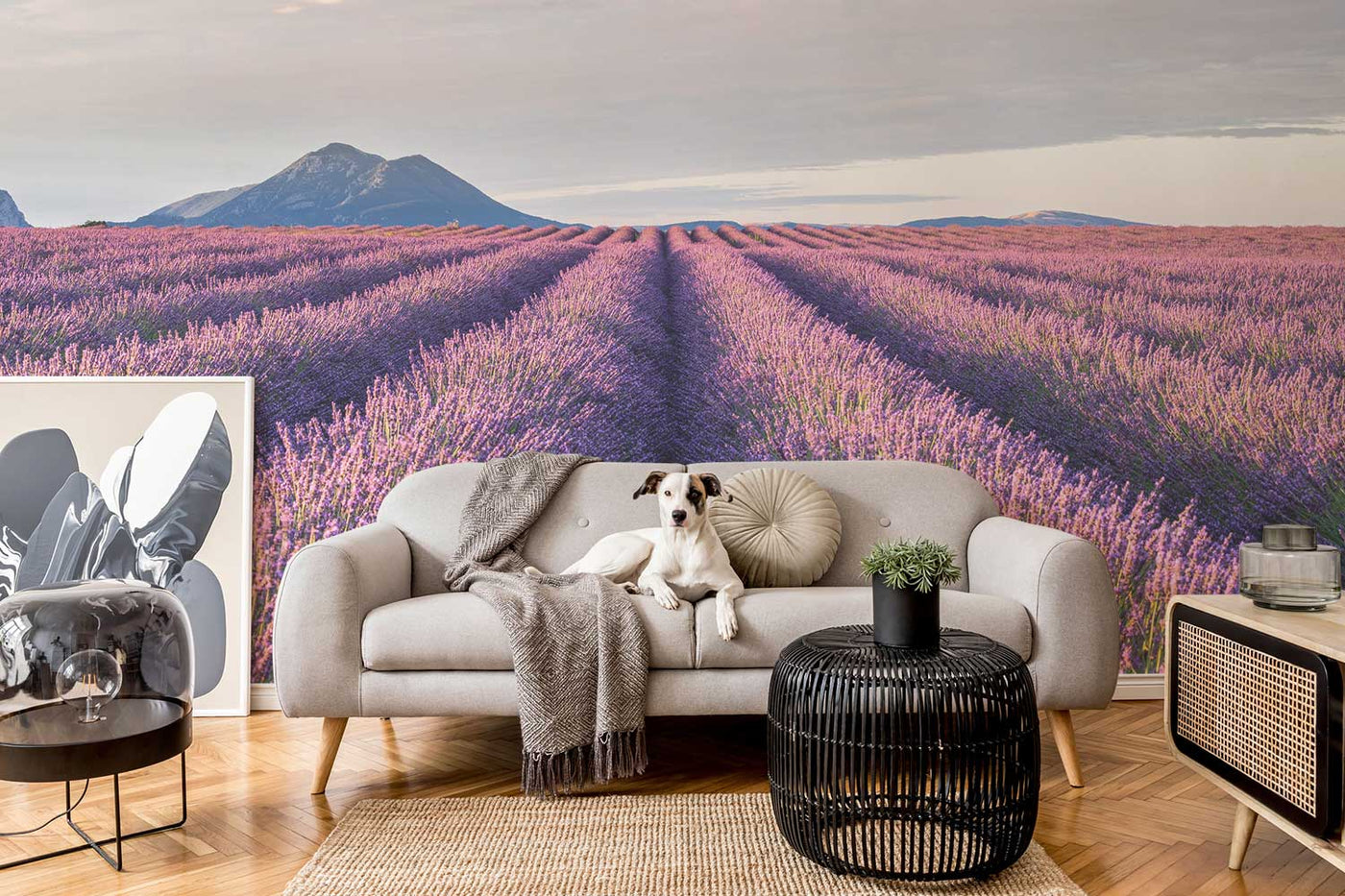 Provence Lavender Fields Wall Mural-Wall Mural-Eazywallz