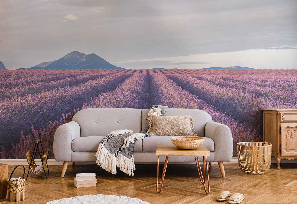 Provence Lavender Fields Wall Mural-Wall Mural-Eazywallz