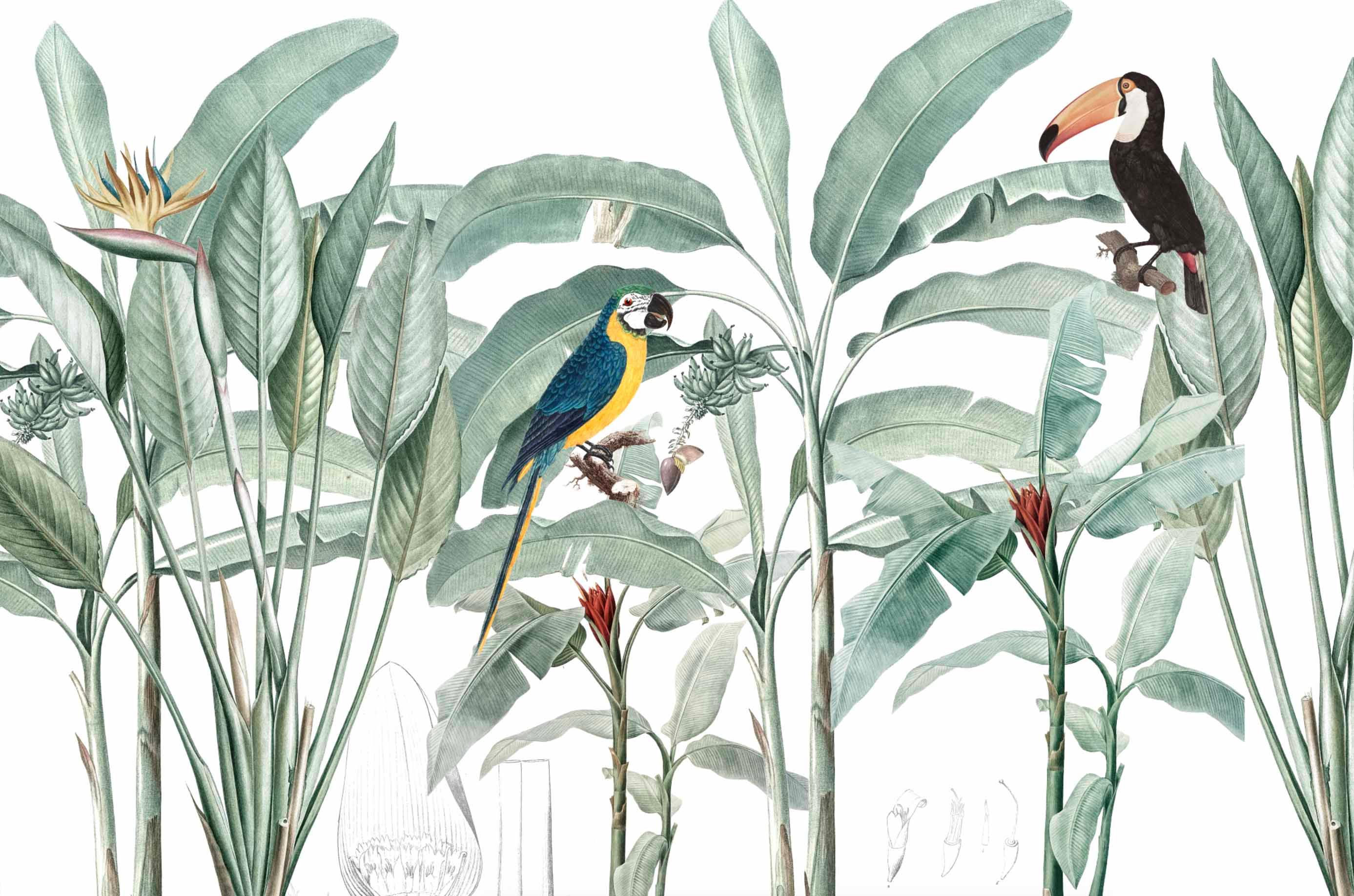 Redoute Jungle Mural Wallpaper-Wall Mural-Eazywallz