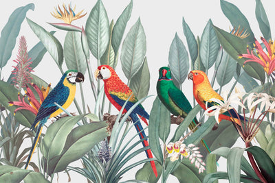 Redoute Jungle Parrots Wall Mural-Wall Mural-Eazywallz