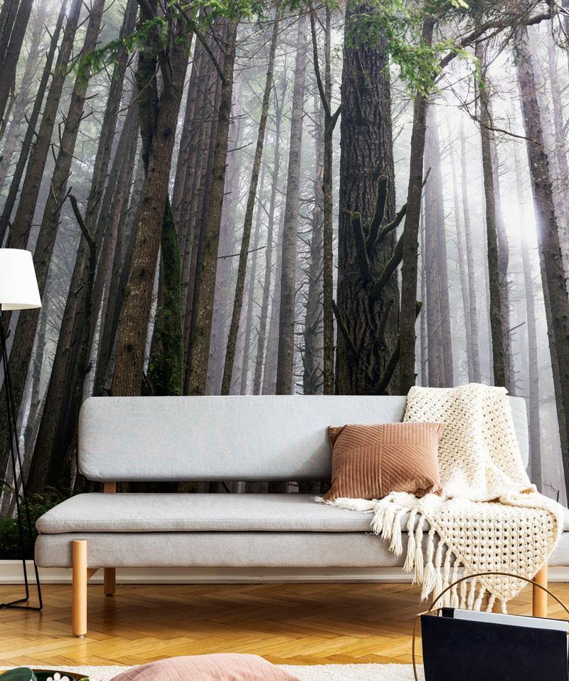 Redwood Forest Wallpaper Mural-Wall Mural-Eazywallz