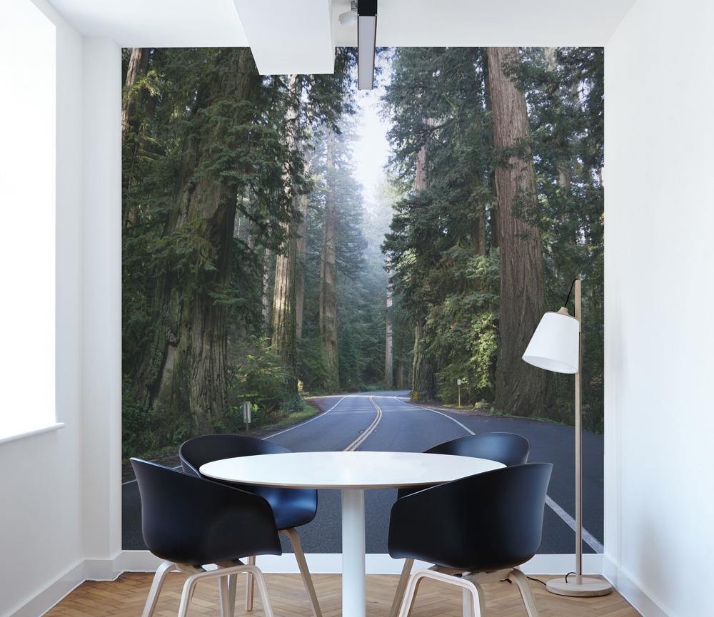 Redwood Nature Forest Wall Mural-Wall Mural-Eazywallz