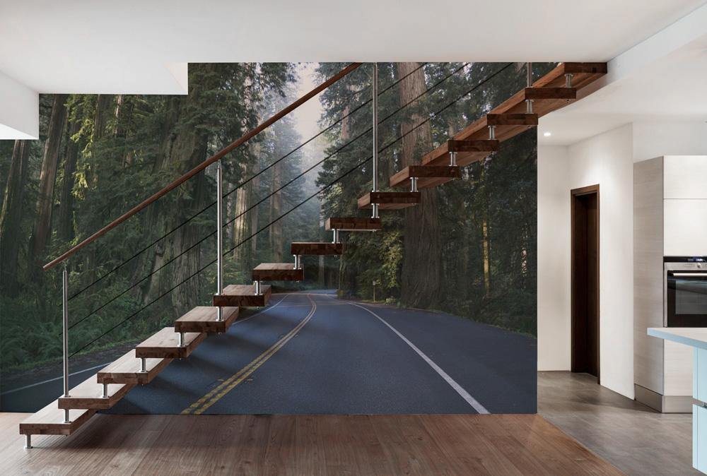 Redwood Nature Forest Wall Mural-Wall Mural-Eazywallz