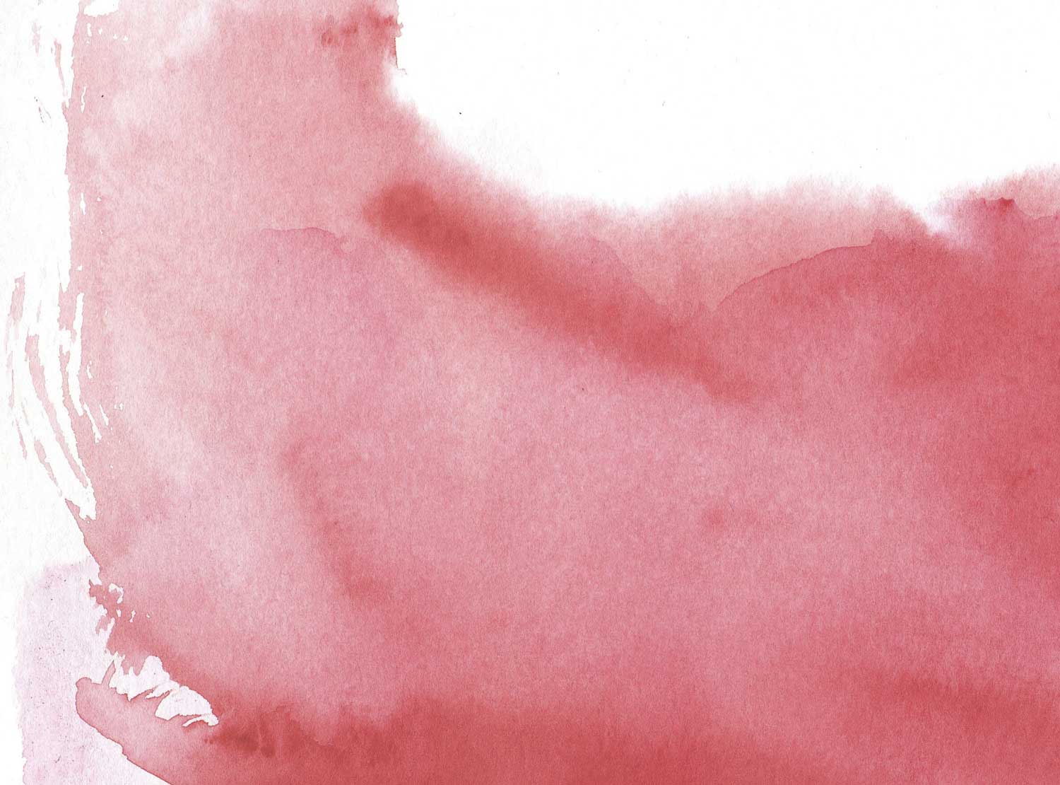 Rose Watercolor Splash Mural-Wall Mural-Eazywallz