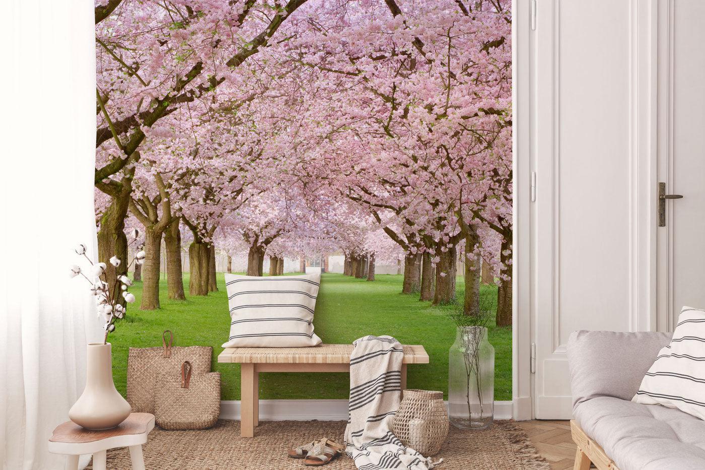 Rows of Beautifully Blossoming Cherry Trees Wall Mural-Wall Mural-Eazywallz
