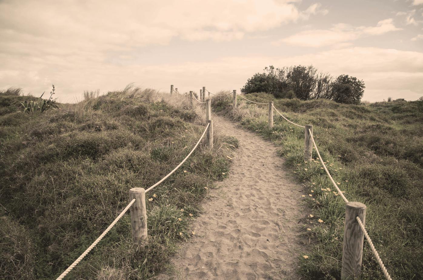 Sandy Beach Path Wall Mural | Eazywallz