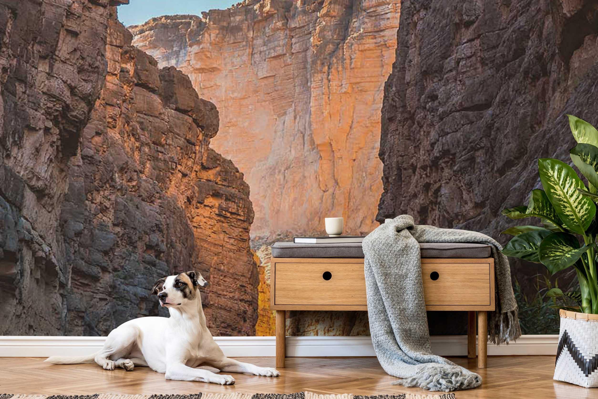 Santa Elena Canyon Wall Mural-Wall Mural-Eazywallz