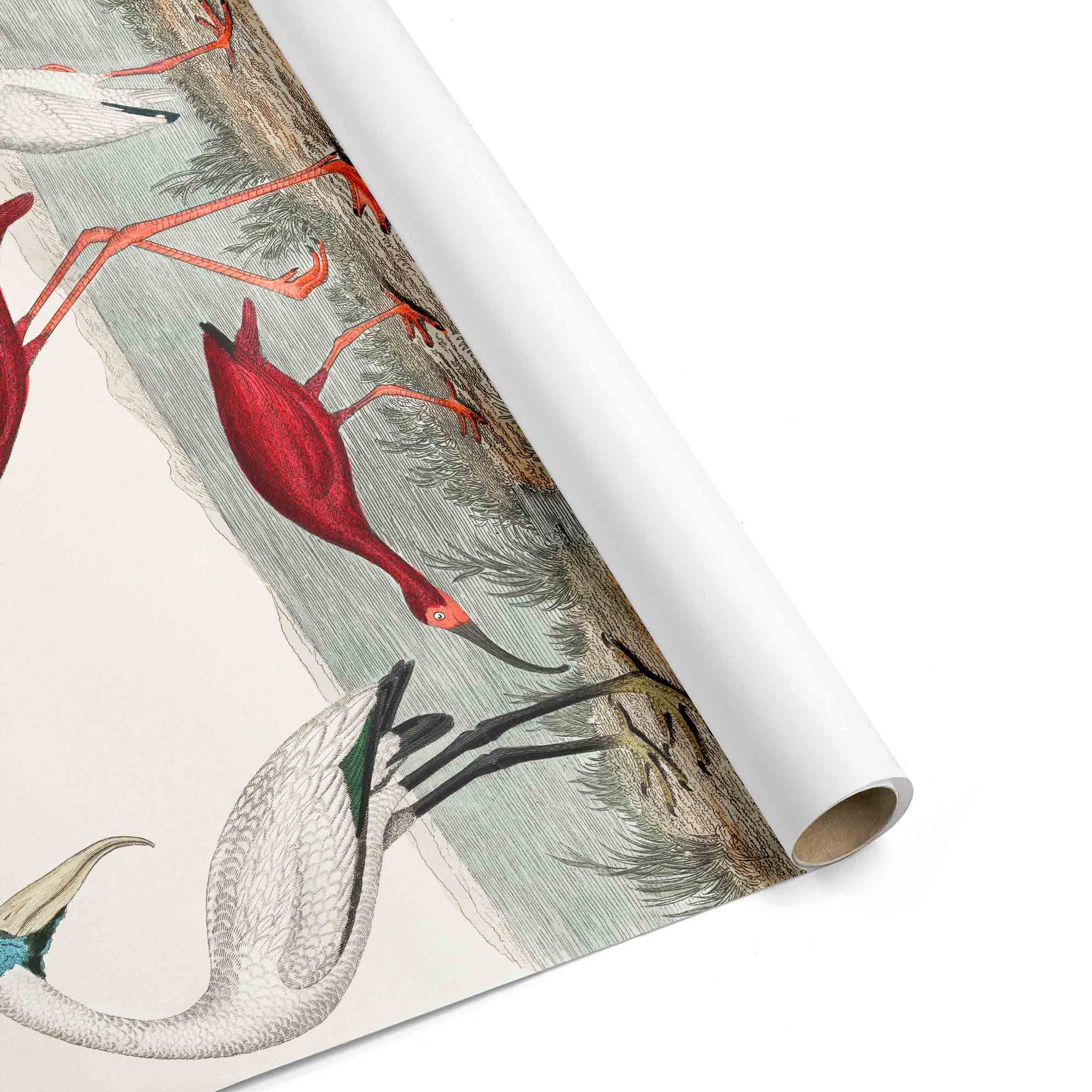 Scarlet Flamingo Vintage Wall Mural-Wall Mural-Eazywallz