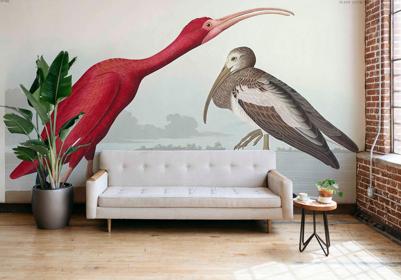 Scarlit Hibis Bird Wall Mural-Wall Mural-Eazywallz