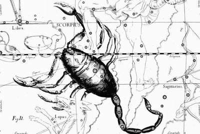 Scorpio Constellation Map Wall Mural-Wall Mural-Eazywallz