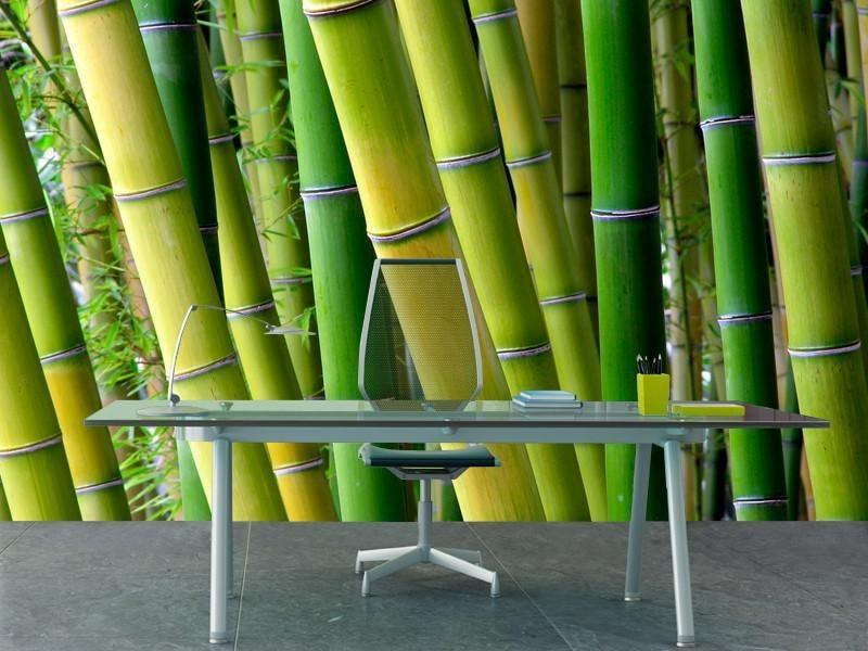 Serene Bamboo Wall Mural-Wall Mural-Eazywallz