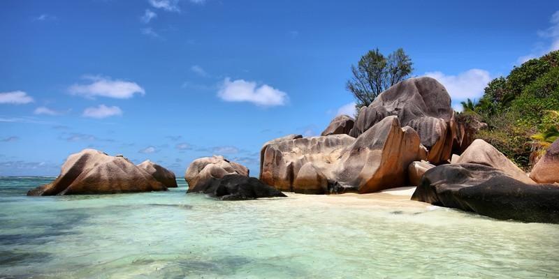 Seychelles Nature Wall Mural-Wall Mural-Eazywallz