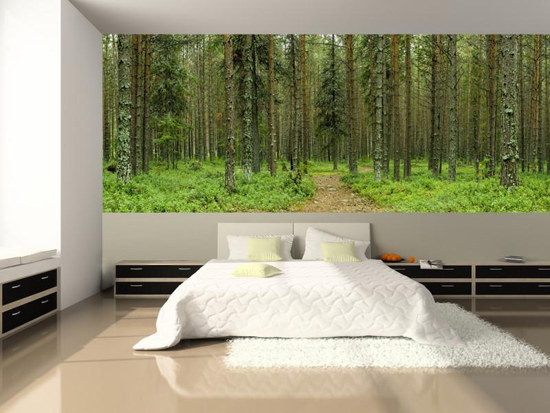 Silent Forest Wall Mural-Wall Mural-Eazywallz