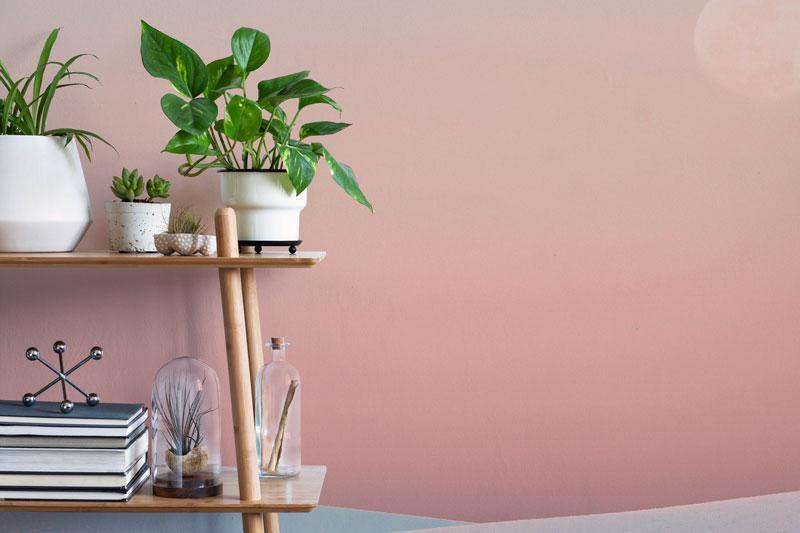 Smooth Moon & Desert Wall Mural-Wall Mural-Eazywallz