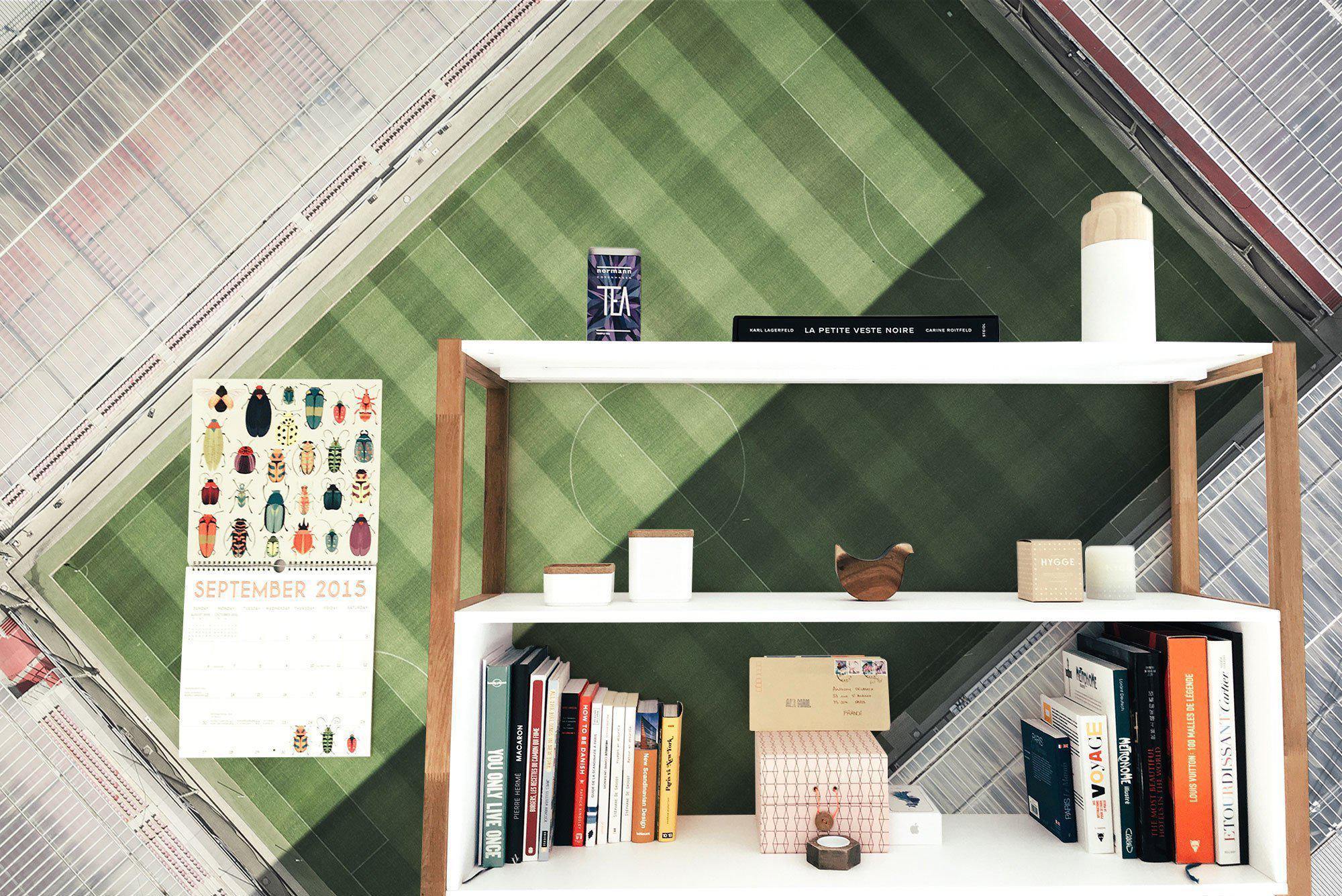 Soccer Stadium From Above-Wall Mural-Eazywallz