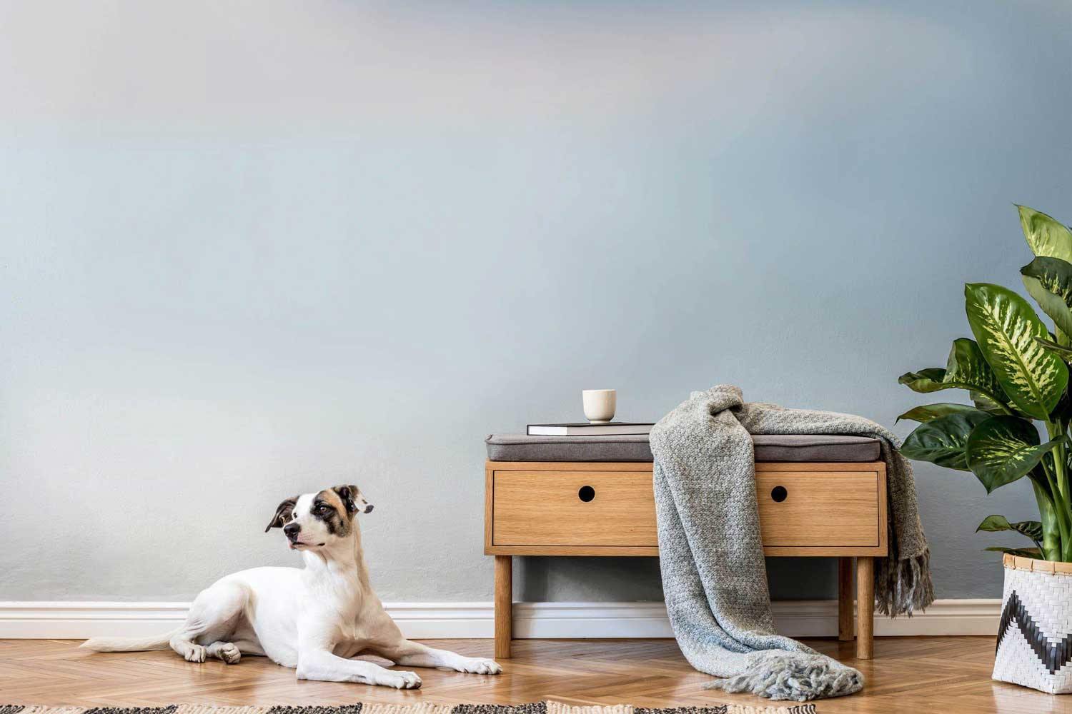 Soft Sky Gradient #1 Wall Mural-Wall Mural-Eazywallz