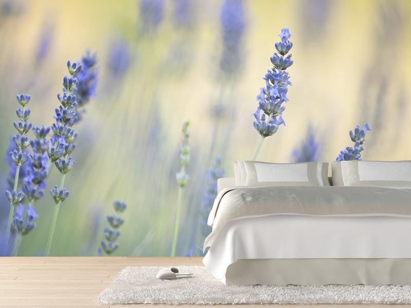 Soft lavender Wall Mural-Wall Mural-Eazywallz
