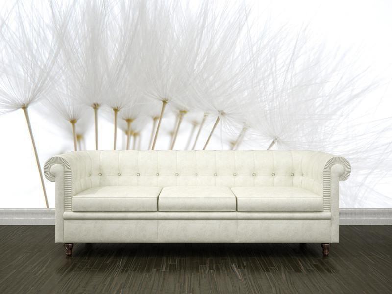 Soft white dandelion seeds Wall Mural-Wall Mural-Eazywallz